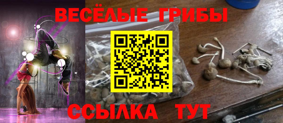 Псилоцибиновые грибы ЛСД Петровск