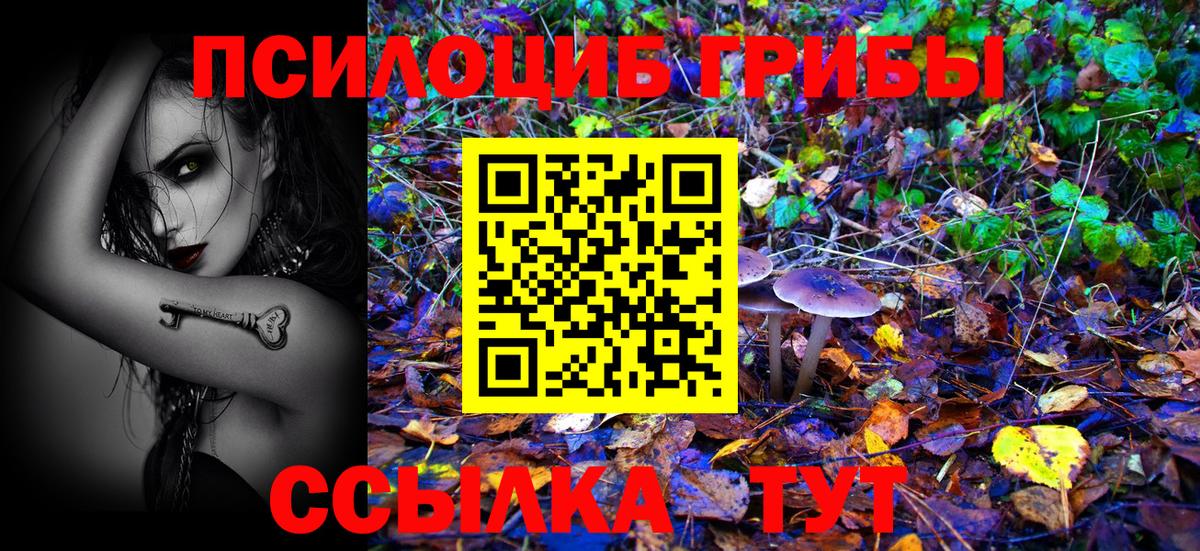 Петровск  Псилоцибиновые грибы мухоморы  Вход с VPN 